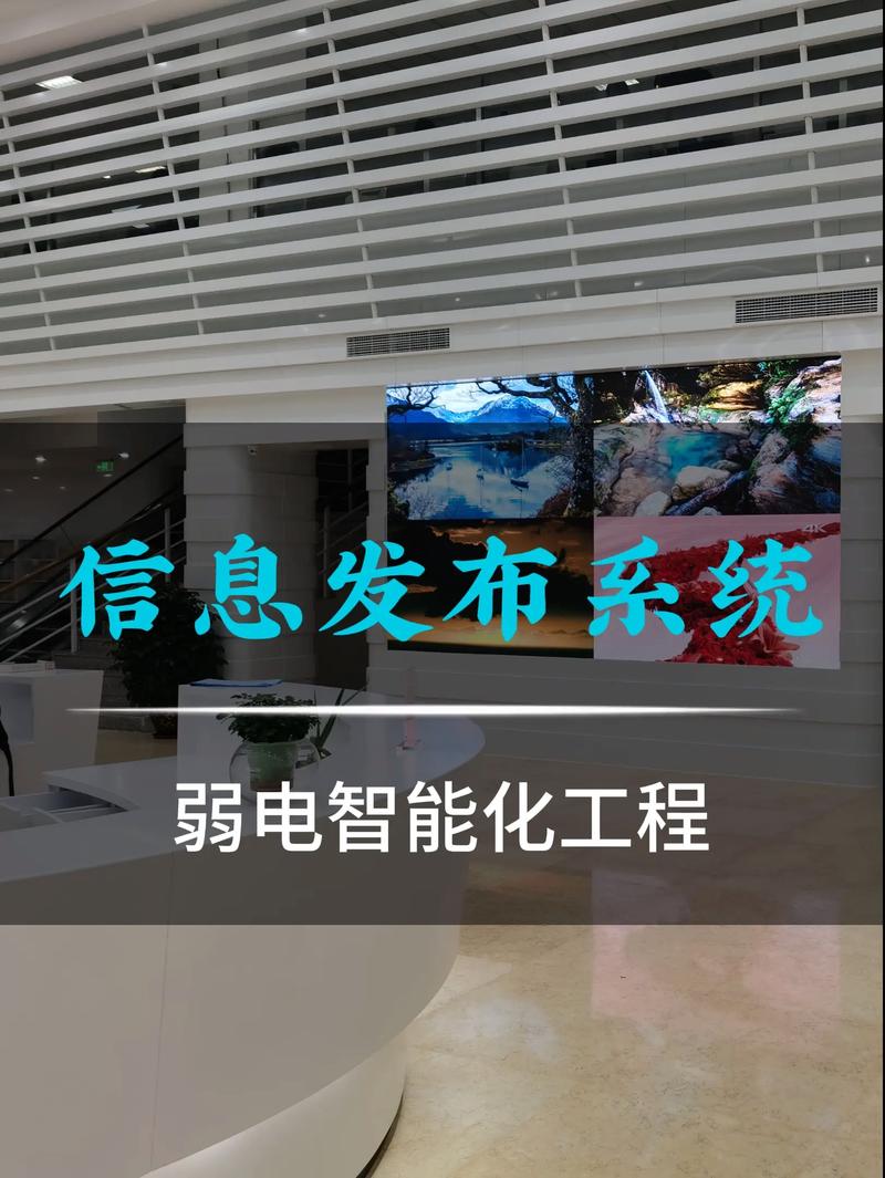 海口IT外包：企业创新的智慧桥梁